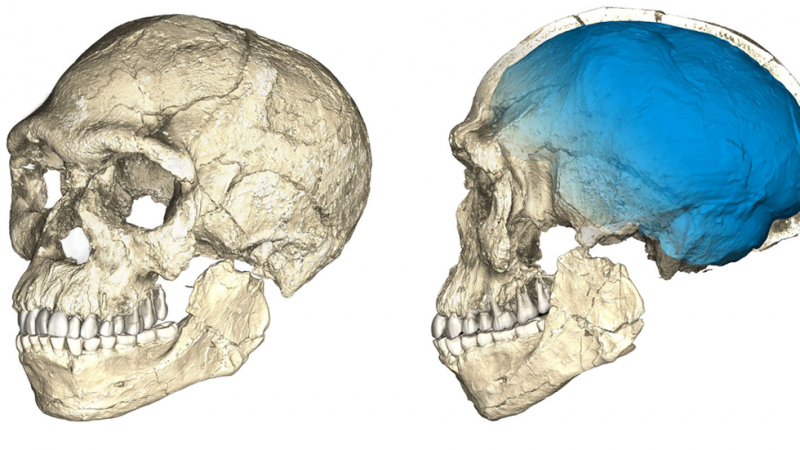 Descubren en Marruecos los fósiles de 'Homo sapiens' más antiguos, con 315.000 años