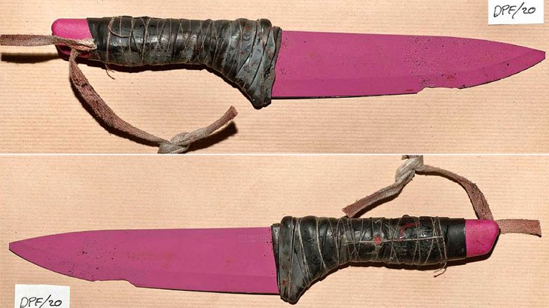 La autopsia certifica que Ignacio Echeverría fue asesinado por una puñalada en la espalda