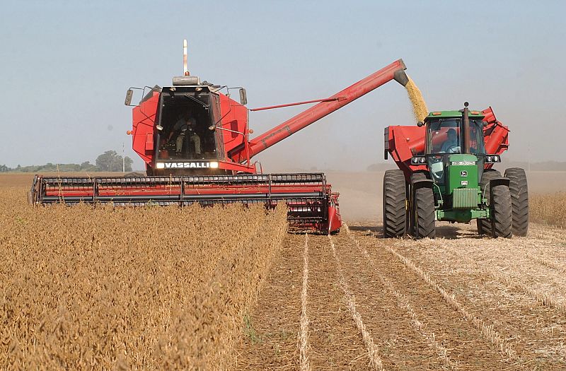 La Justicia europea sentencia que la leche de soja o la mantequilla de tofu no pueden venderse como lácteos