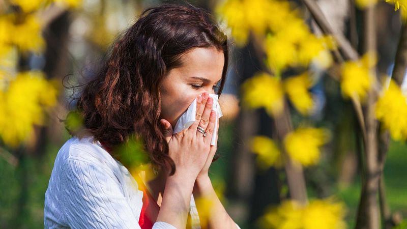 Se dispara la alergia a polen de gramínea, olivo y arizónica, además de a frutos secos
