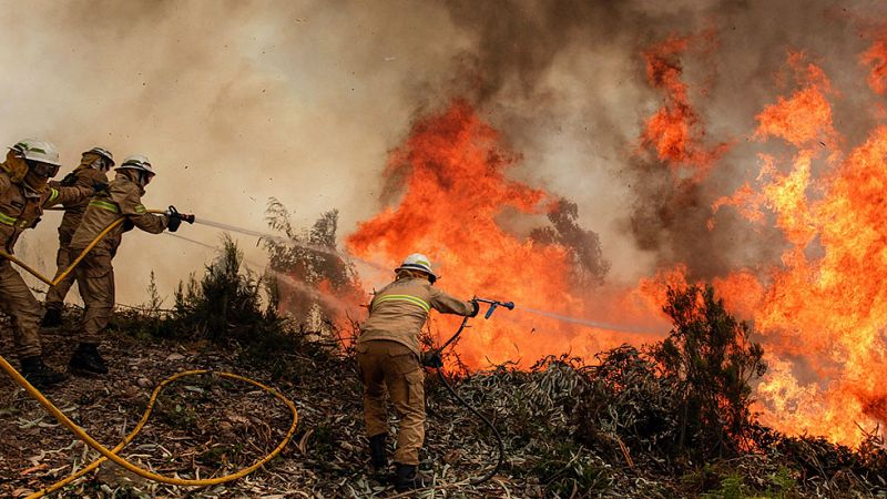Mueren más de 60 personas en un incendio forestal en el centro de Portugal