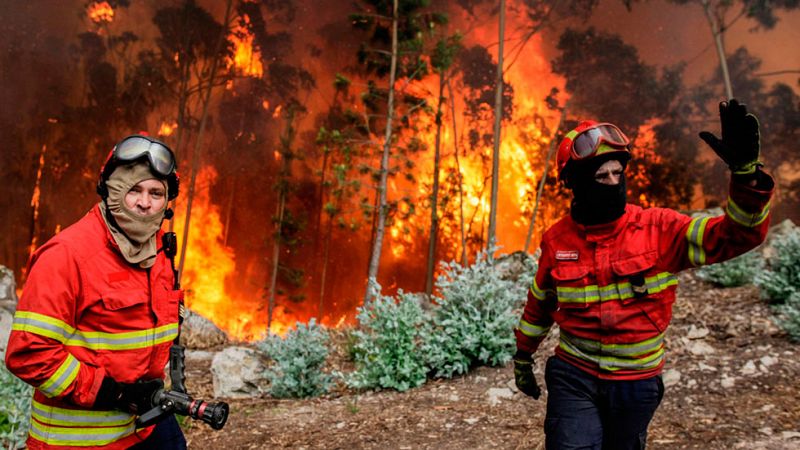 Portugal lucha por controlar el incendio más mortal de su historia y apunta a un rayo como causa del fuego