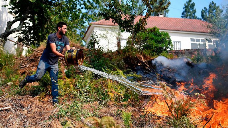 Claves: ¿por qué fue posible el incendio en Portugal?