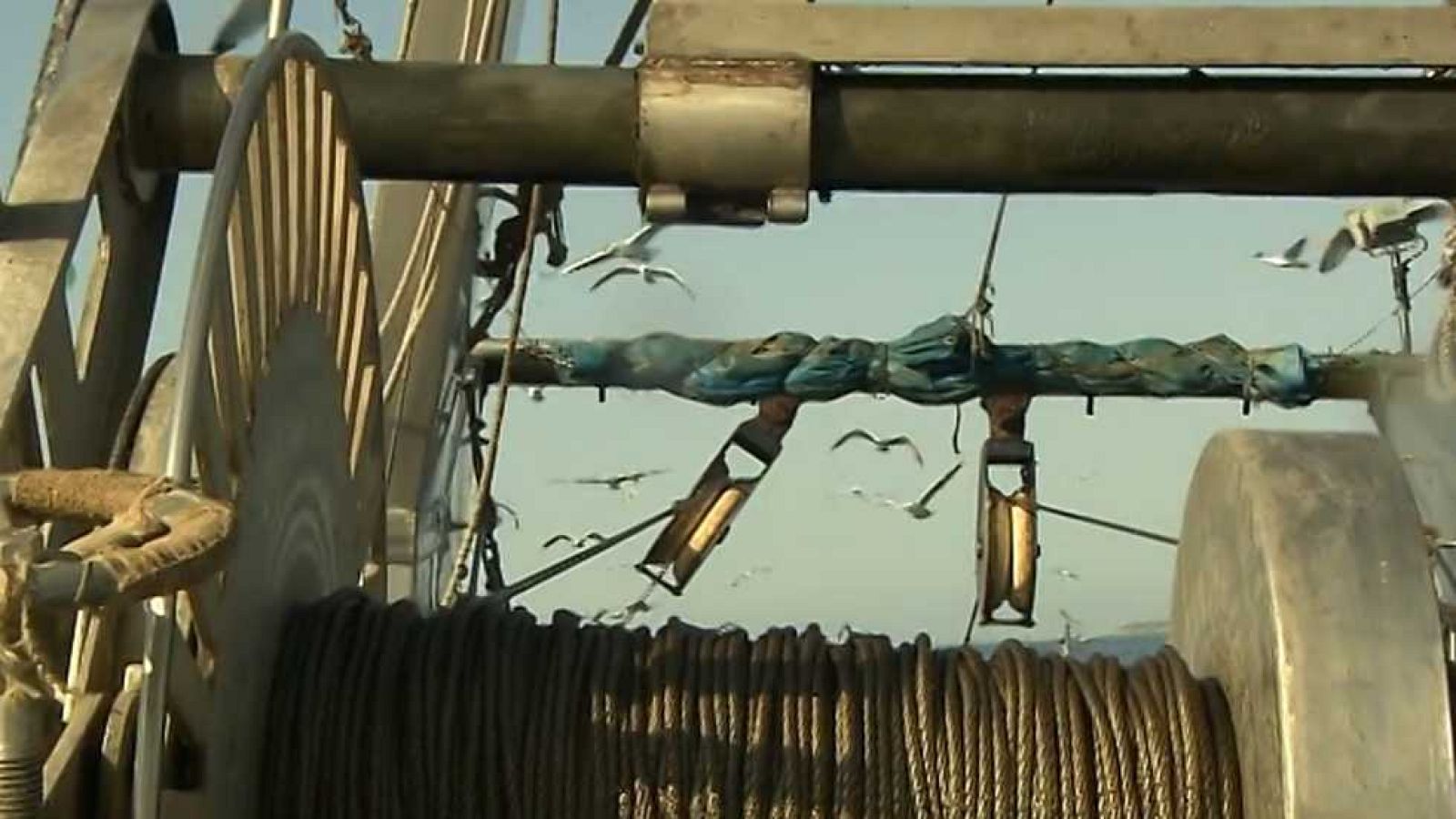 El escarabajo verde - La mar de polímeros - ver ahora