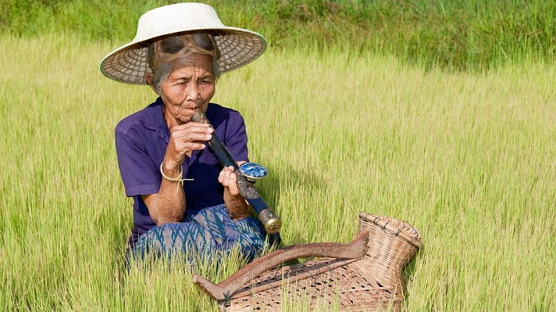 La ONU alerta sobre el crecimiento de consumidores y víctimas de los derivados del opio