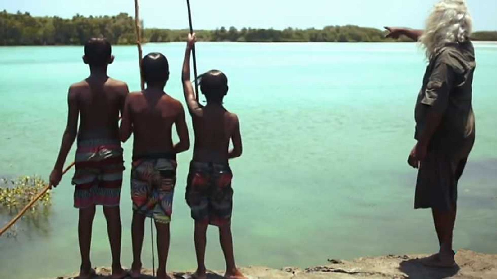 El escarabajo verde - Turismo por un tubo - ver ahora