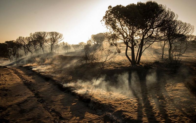 El fuego en el entorno de Doñana afecta a 8.486 hectáreas de matorral y arbolado