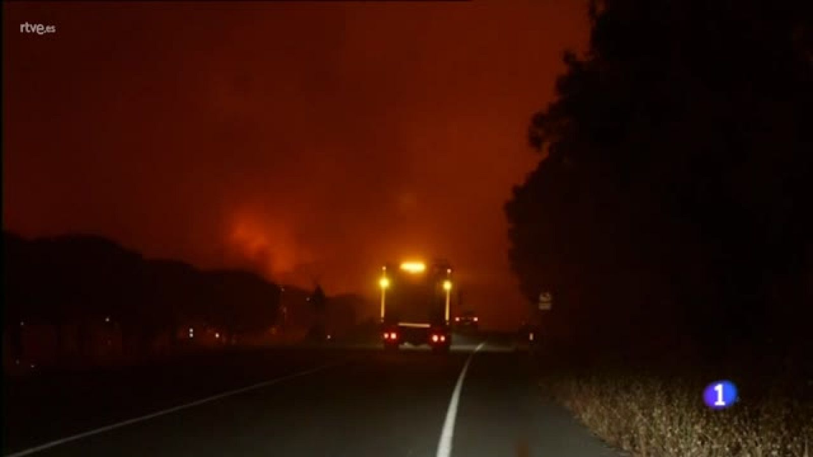 Los daños medioambientales del incendio de Moguer | Ver