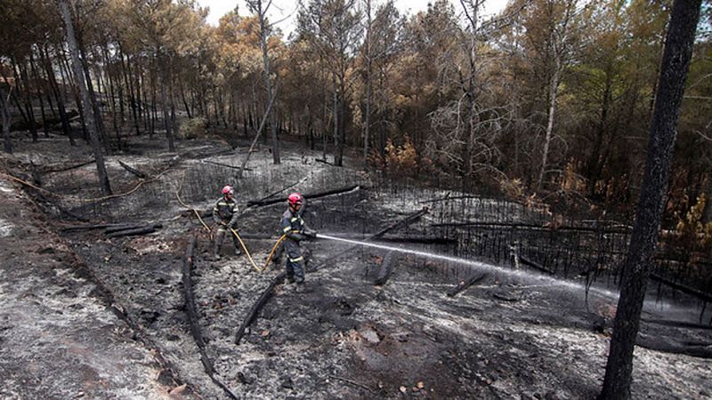 Estabilizado el incendio de la Sierra Calderona tras arrasar 1.200 hectáreas