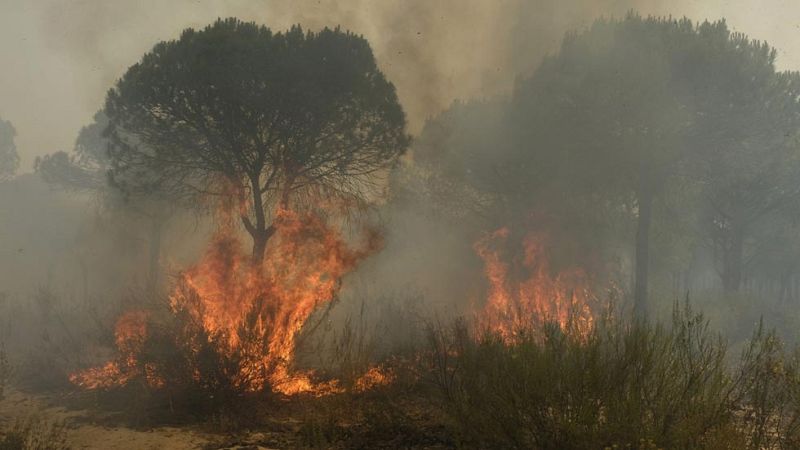 Desalojadas unas 400 personas por un incendio forestal en Riotinto, en Huelva