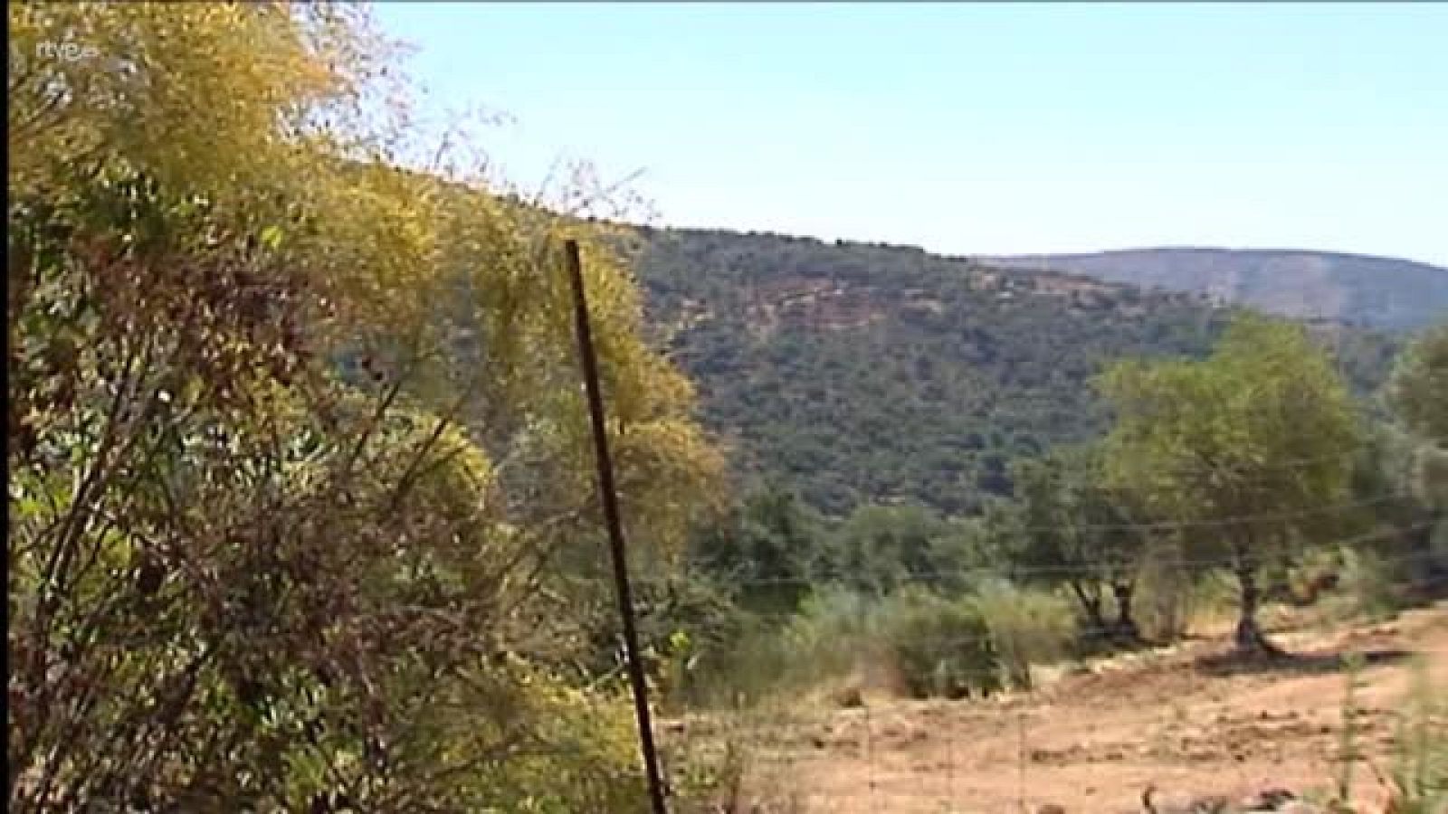 Muere Blesa, el banquero condenado por las black que encumbró Caja Madrid | Ver