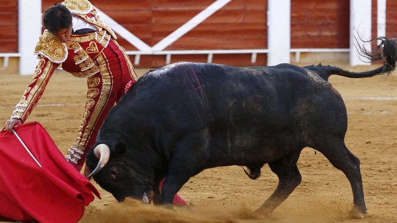 El Gobierno comunica a Baleares que recurrirá ante el TC su ley de toros