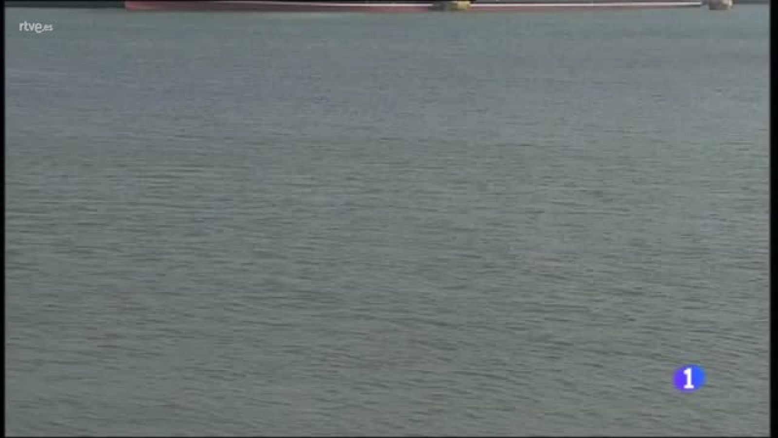 Más de 17.000 pasajeros hoy en Cádiz en cuatro cruceros | Ver