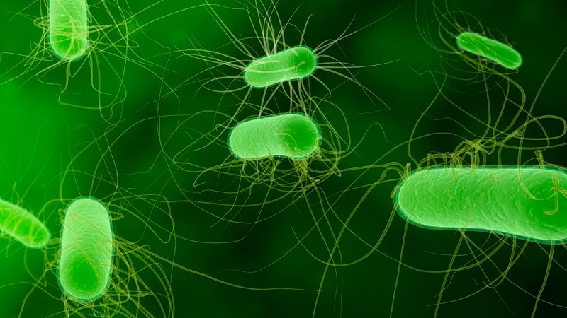 Un estudio científico cuestiona la recomendación médica de "acabar la caja" de antibióticos