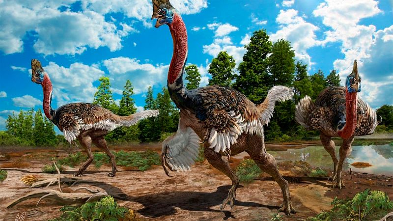 Descubren en China una nueva especie de dinosaurio con plumas