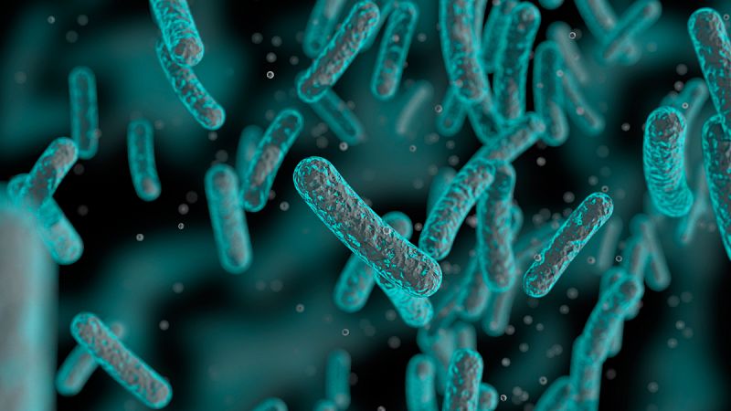 El cambio climático acentúa el riesgo de los patógenos en Europa