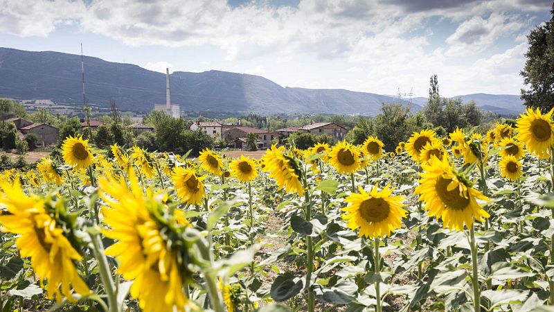 Primer paso para desmantelar la central nuclear de Garoña, un proceso que no terminará antes de 2030