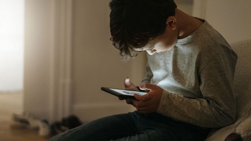 El Gobierno espera activar "antes del verano" la verificación de edad en internet para proteger a los menores del porno