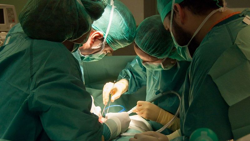 España roza los 6.000 trasplantes en 2023 y encadena 32 años como líder mundial