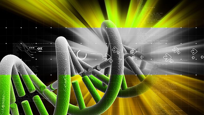 ¿Soy compatible genéticamente con mi pareja?