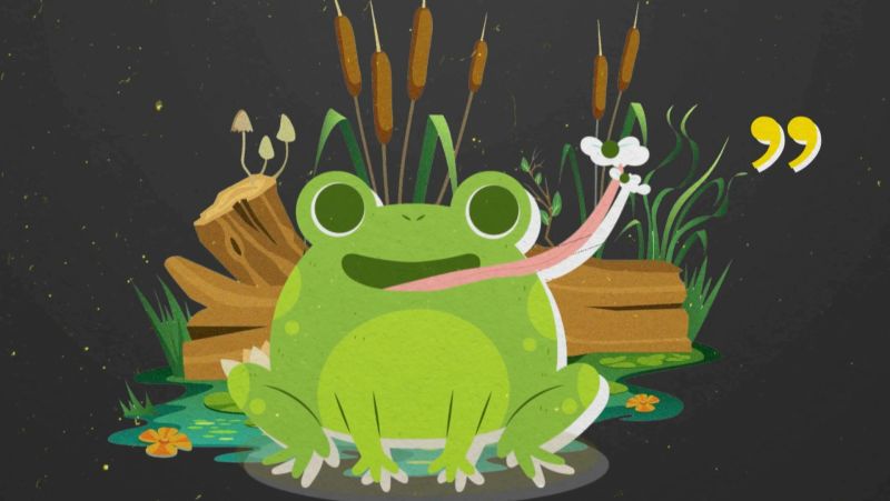 Granollers, terra de granotes