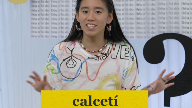 Paraules en català que semblen castellanismes