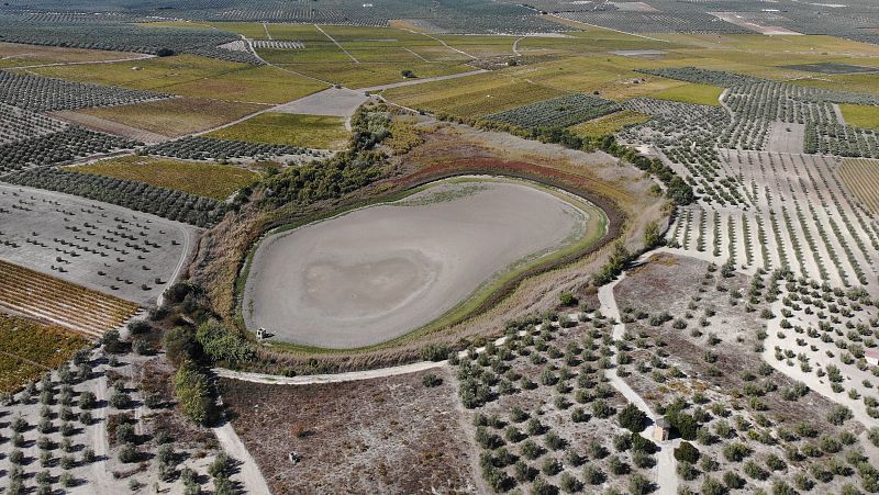 Lagunas sin peces y reservas al lmite, la sequa asfixia a los humedales: ?Es una situacin inslita?