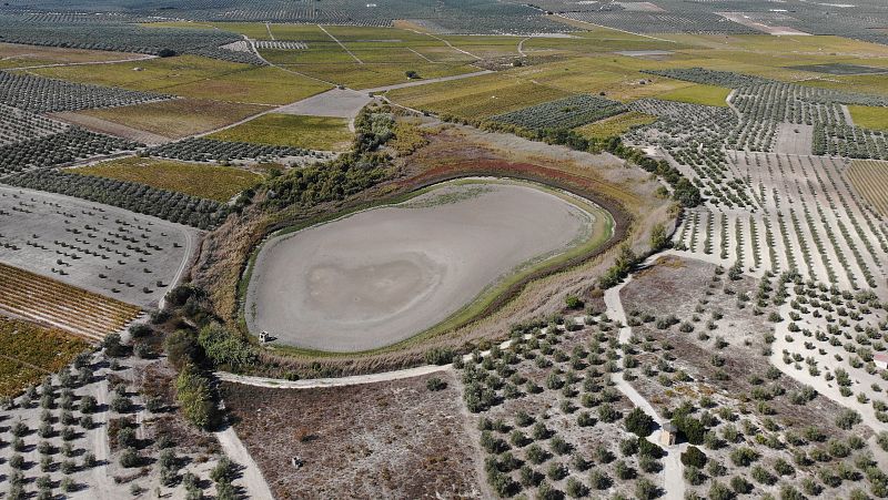 Lagunas sin peces y reservas al límite, la sequía asfixia a los humedales: “Es una situación insólita”