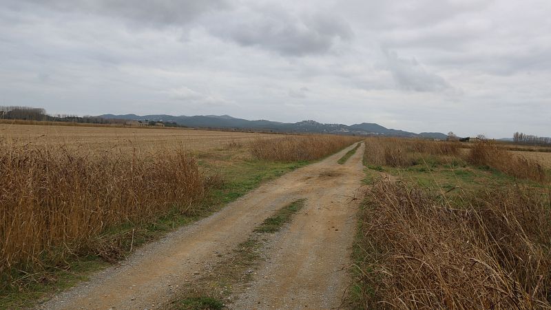 Detinguda la parella de la dona assassinada a Torroella de Montgrí