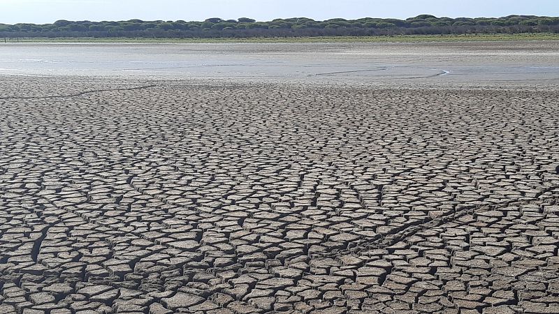 El parque de Doana registra su cifra ms baja de aves y una temperatura rcord en 2023