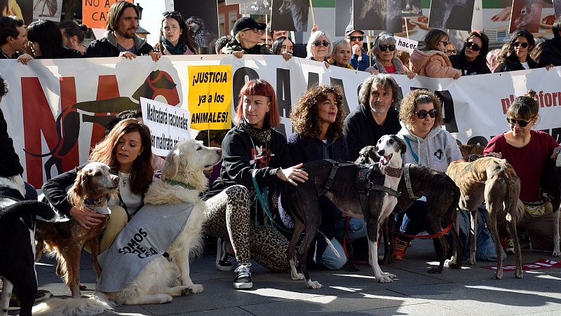 Miles de personas se manifiestan en distintas ciudades de España para pedir el fin de la caza con perros