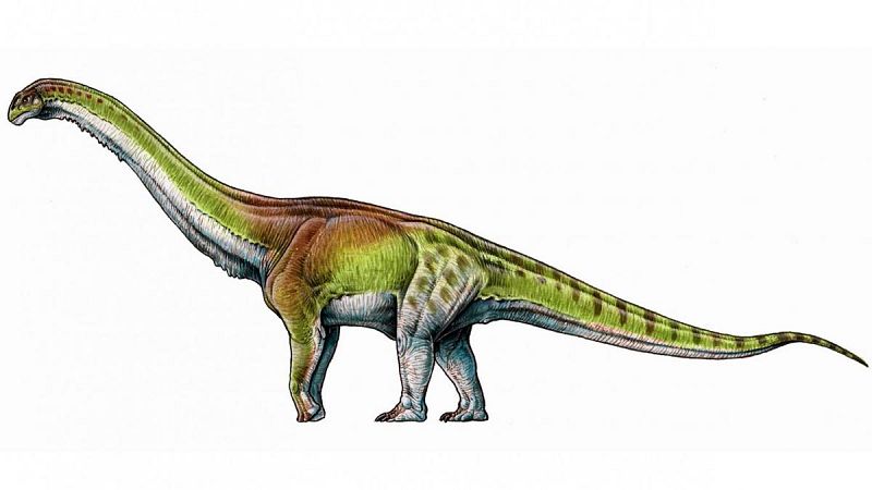 Así era el Patagotitán, el animal terrestre más grande de la historia