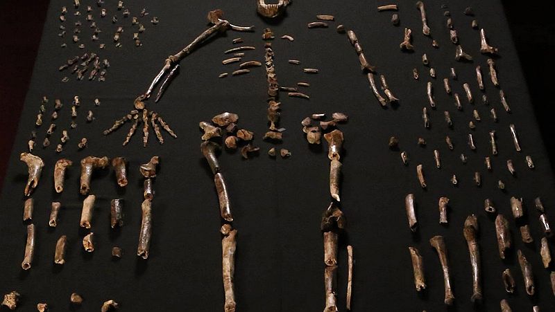 3 comportamientos del Homo naledi que inquietan a la ciencia oficial