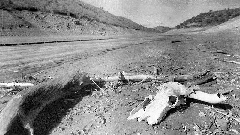 Cuando en Sevilla o Bilbao no salía agua del grifo: las lecciones aprendidas de la gran sequía de los 90