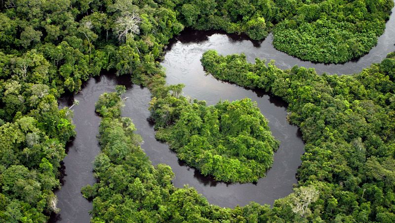 Ro Amazonas: la fascinante historia que hay detrs de su primera exploracin