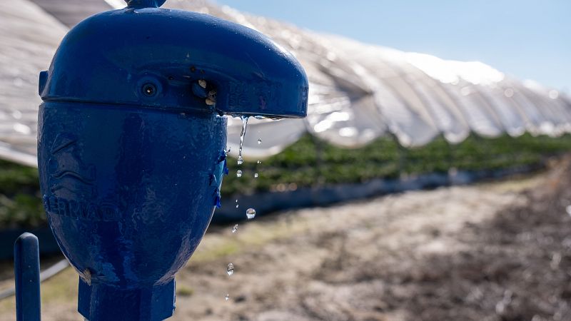 La excesiva extraccin de agua causa "graves impactos" en Doana, segn decenas de trabajos cientficos