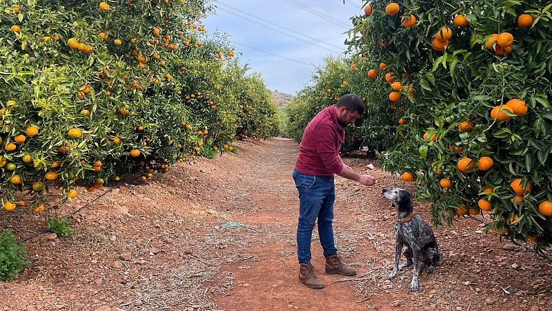 Viure del camp: el jornal d'un jove llaurador