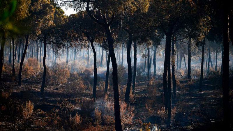 Estabilizado el incendio en Santa Olalla, Huelva, tras más de 18 horas de trabajo