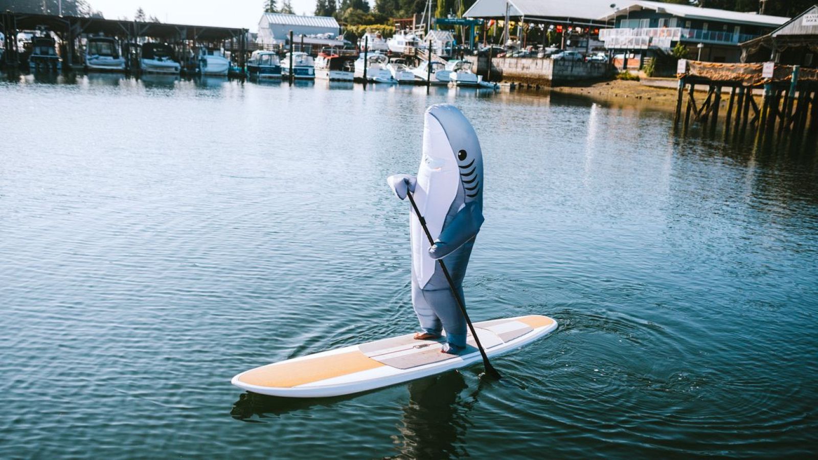 Para Todos La 2- La belleza de la rareza. Entrevista a Sergi Rufi - Para todos La 2 | Ver