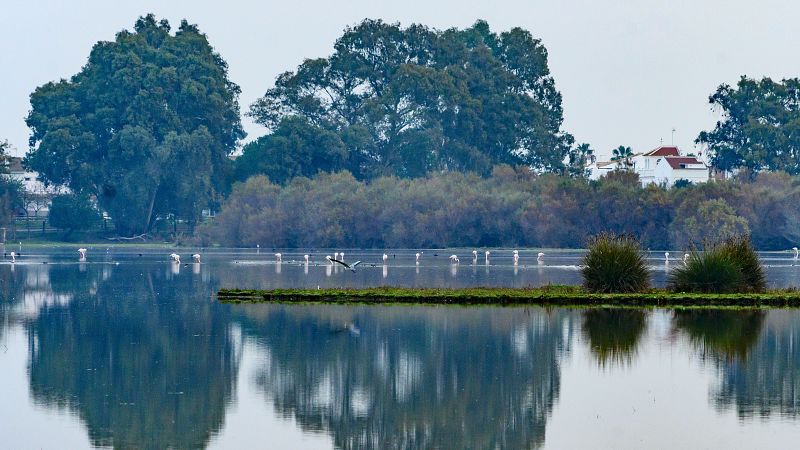 Gobierno y Andalucía vuelven a chocar por Doñana: Ribera suspende la reunión prevista tras conocer el plan de la Junta