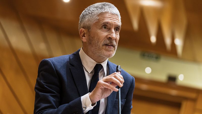 El Senado reprueba a Marlaska por "no dotar de medios suficientes" a la Guardia Civil contra el narcotráfico