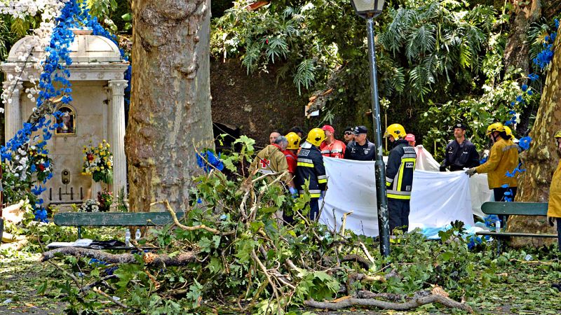Mueren trece personas en Madeira por la caída de árbol centenario durante una romería