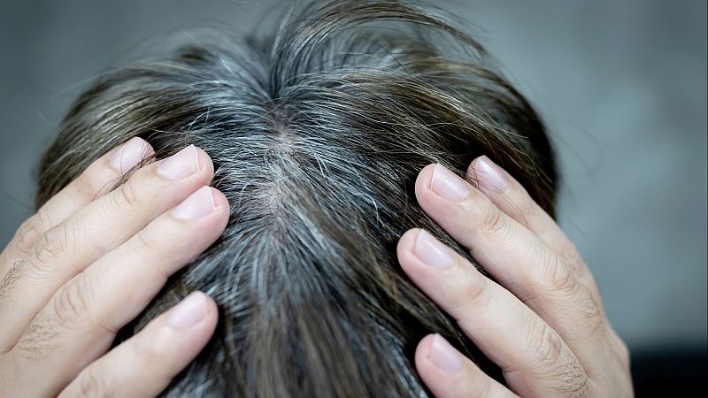 Mitos y realidades sobre las canas: arrancrtelas hace que salgan ms?