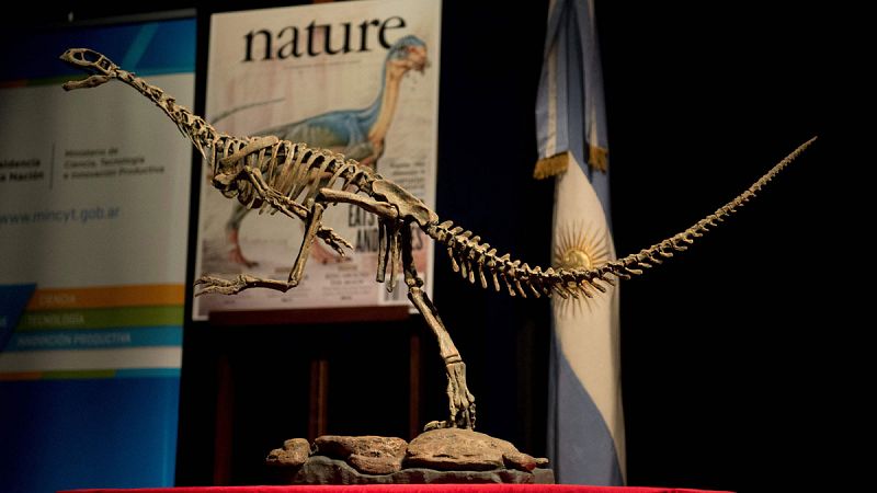 Un estudio identifica al 'Chilesaurus' como el eslabón perdido entre dinosaurios herbívoros y carnívoros