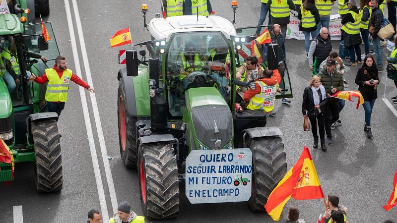 “Muchas horas, muchos papeleos y poco precio": el lamento de los jóvenes agricultores que buscan un futuro en el campo