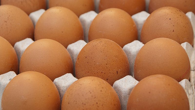 La autoridades localizan una partida de 50 kilos de huevo en polvo con fipronil en Cataluña