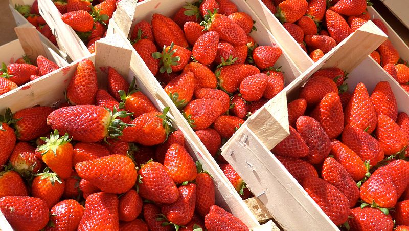 Alerta sanitaria en España por la detección de hepatitis A en fresas procedentes de Marruecos