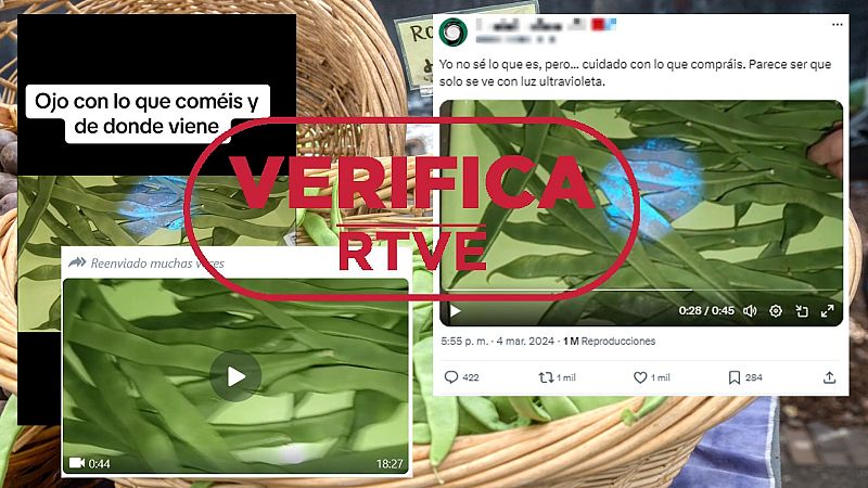 Este vídeo de judías verdes "de Marruecos" bajo luz ultravioleta no prueba que sean perjudiciales