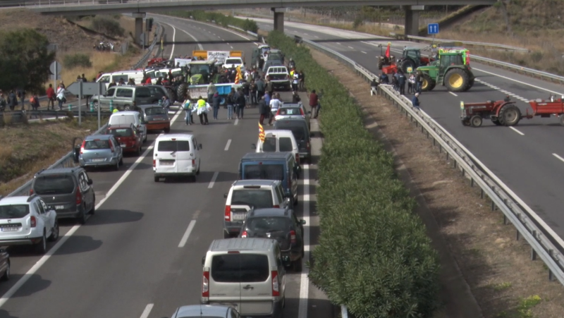 Pagesos i ecologistes mantenen fins dilluns el tall de l'AP-7 a Cambrils