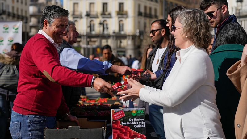 Agricultores reparten en Madrid fresas de Huelva tras la alerta sanitaria por Hepatitis A en frutas de Marruecos